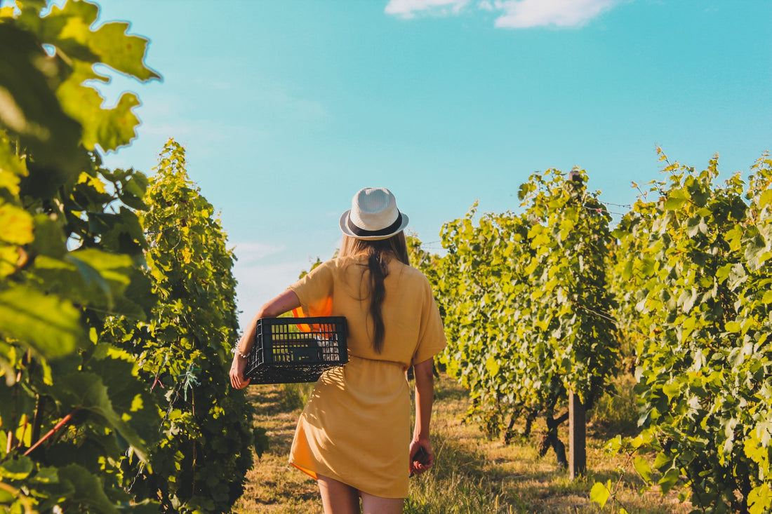 Everything You Need to Know About Alcohol-Free Wine