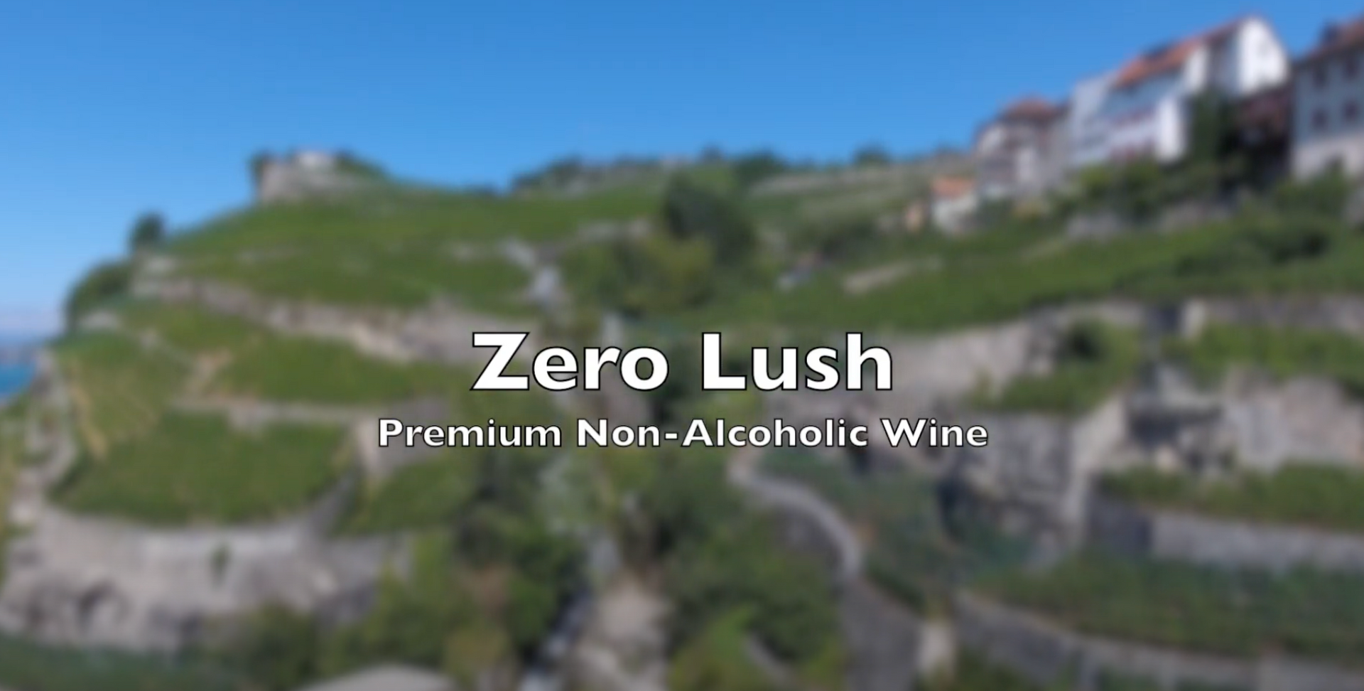 Load video: Learn About Zero Lush NA Wine